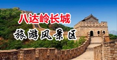 美女日逼免费视频aa中国北京-八达岭长城旅游风景区